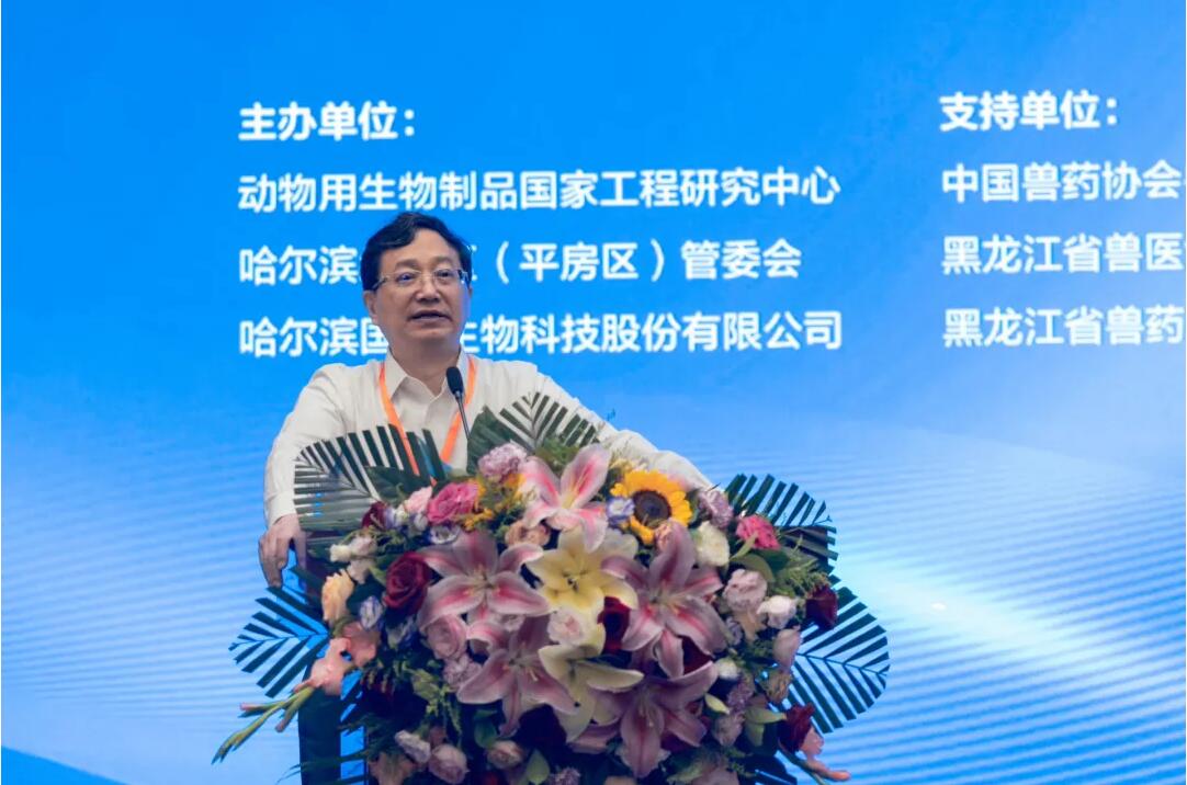 1723536239345200.jpg 2.jpg